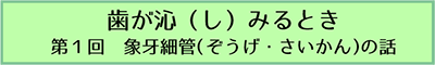 歯が沁みるとき　第1回象牙細管の話