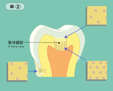 図②